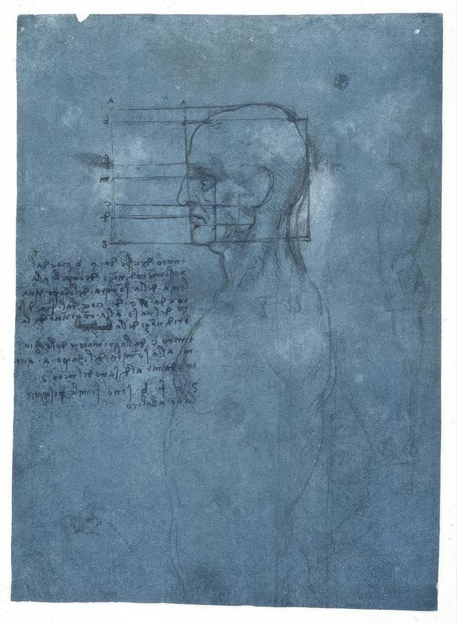 Proportional Study of a Male Head in Profile by Leonardo da Vinci