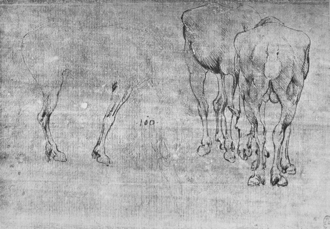 Studies of Horses Grazing by Leonardo da Vinci