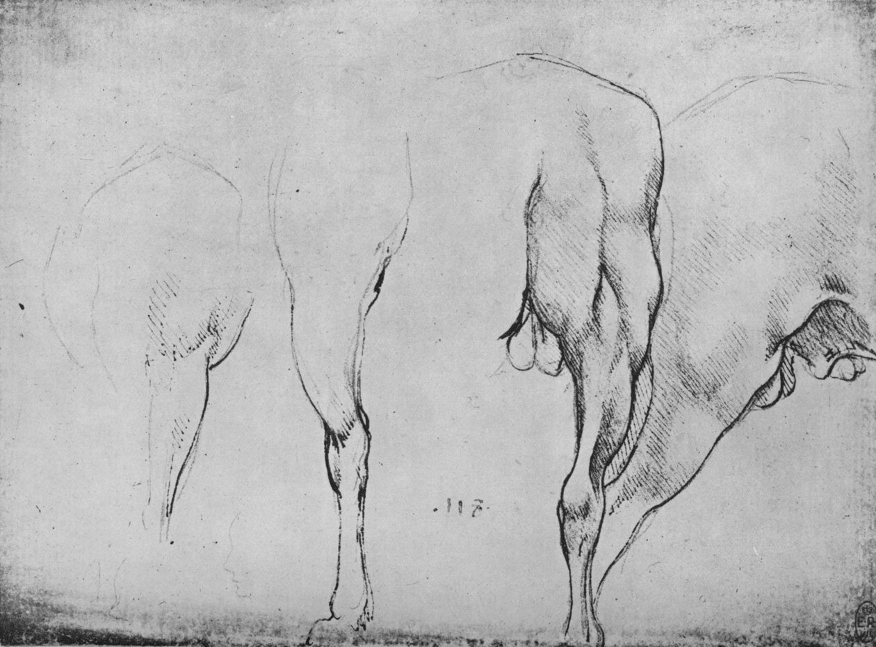 Studies of Horses Legs by Leonardo da Vinci