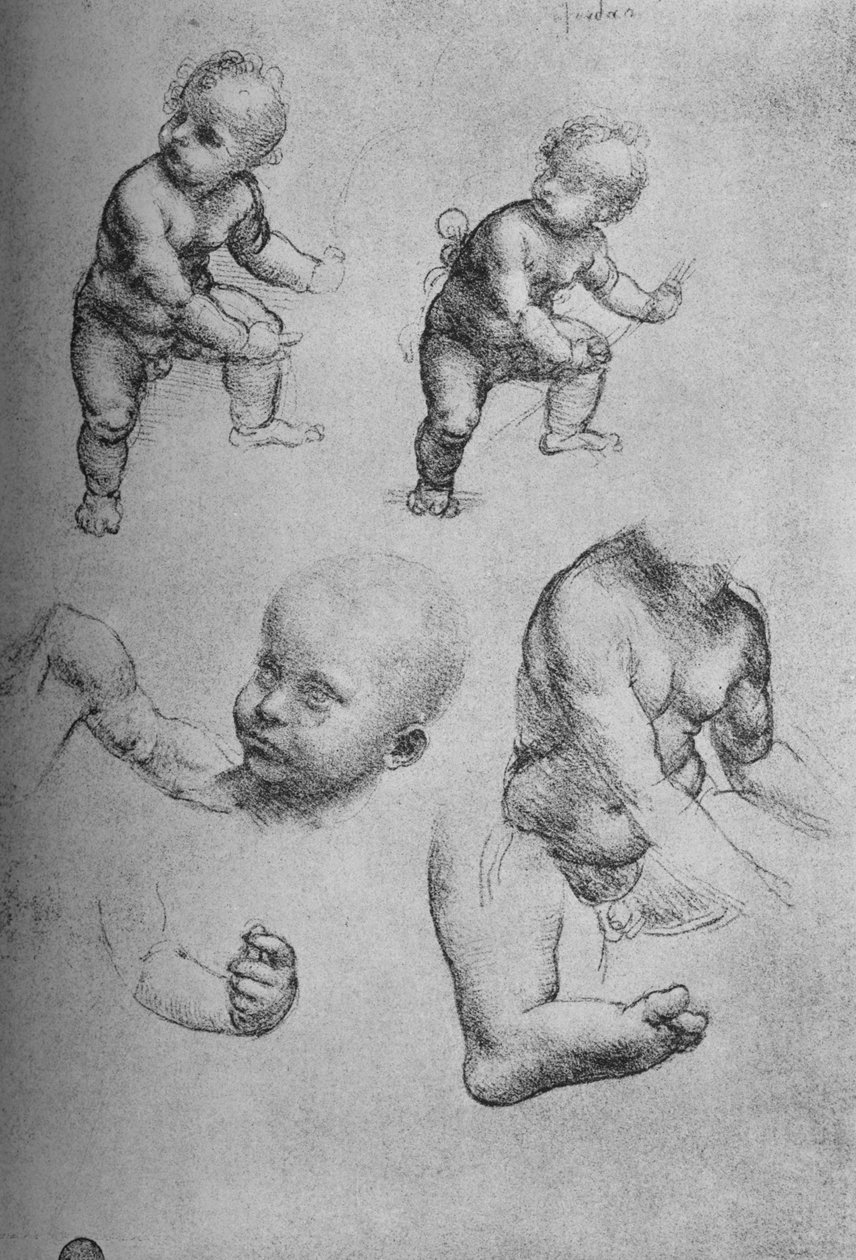 Studies of a Child and Parts of a Child by Leonardo da Vinci