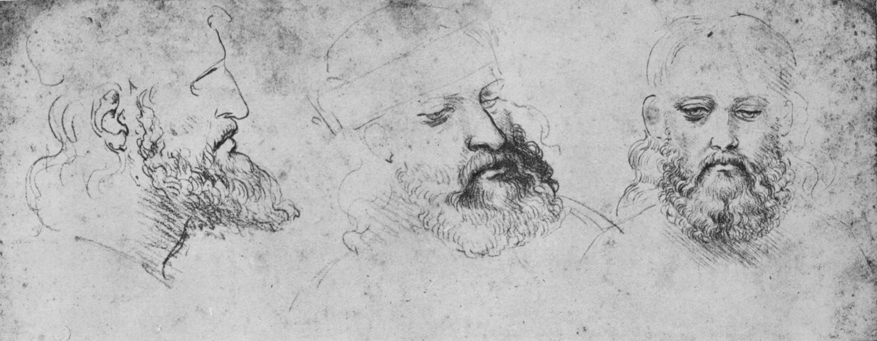 Studies of the Head of Cesare Borgia from Three Points of View by Leonardo da Vinci