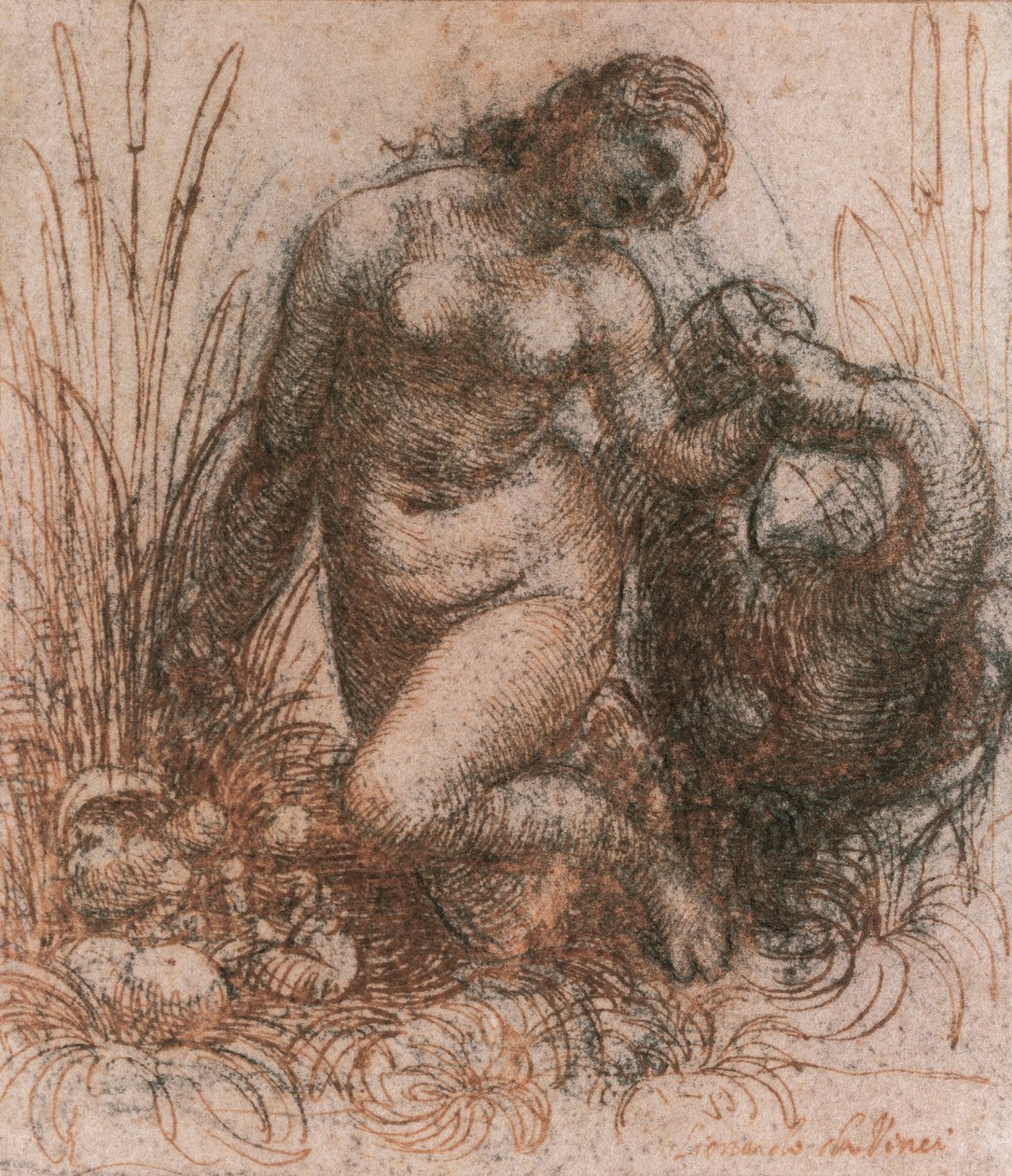 Study for Leda and the Swan by Leonardo da Vinci
