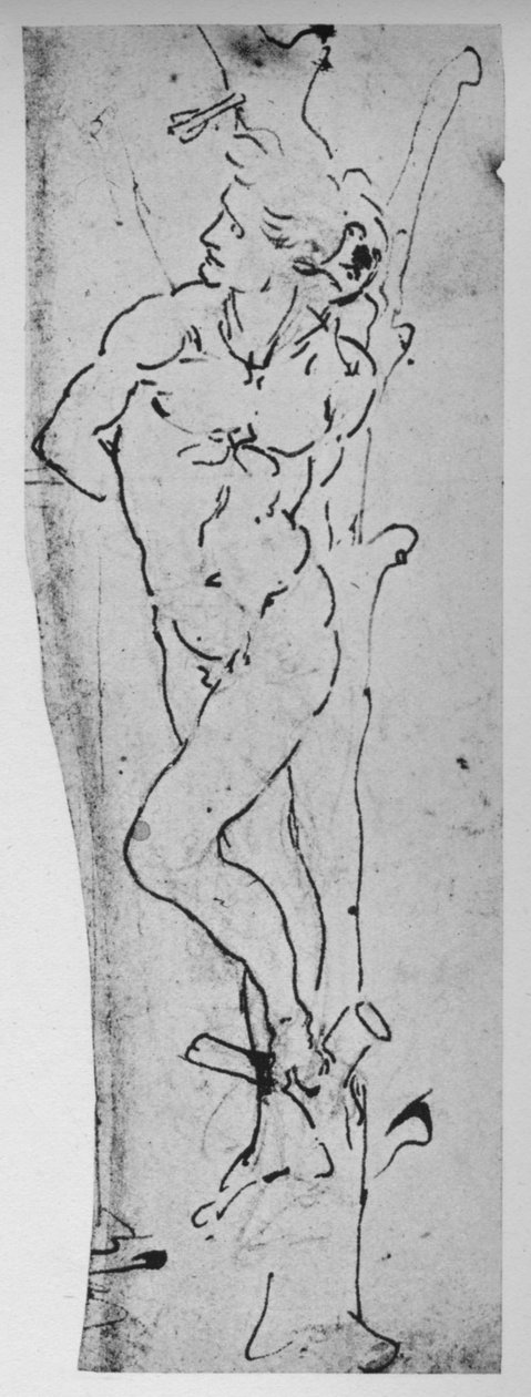 Study for a St. Sebastian by Leonardo da Vinci