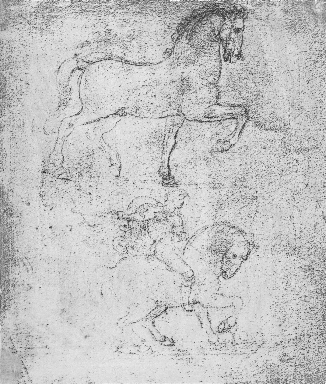 Study for the Sforza Monument by Leonardo da Vinci