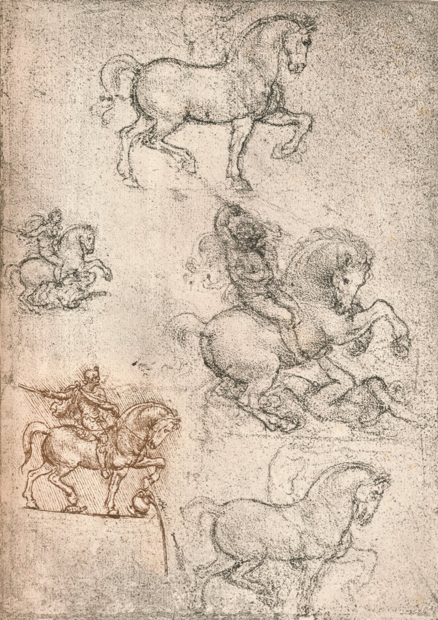 Study for the Sforza Monument by Leonardo da Vinci