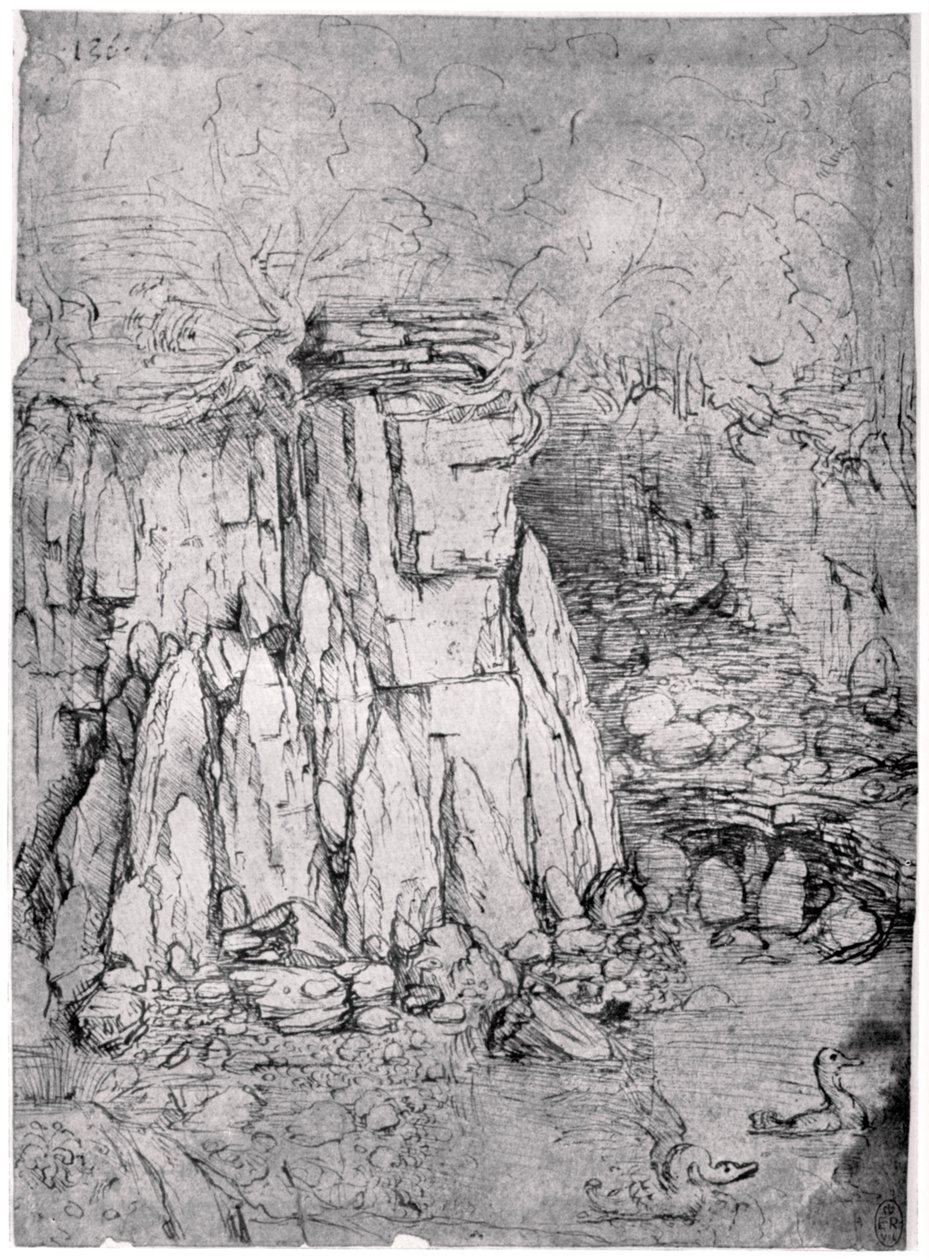 Study of a rocky cavern with ducks by Leonardo da Vinci