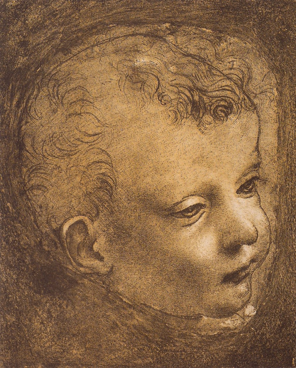 study-of-the-face-of-the-infant-st-john-for-the-madonna-of-the-rocks