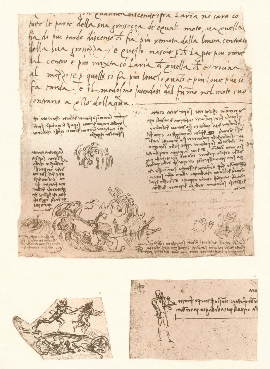 Three drawings by Leonardo da Vinci