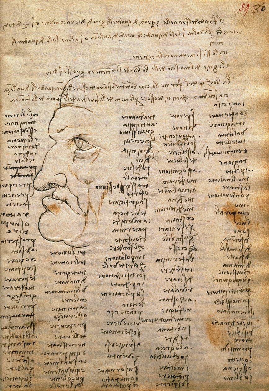 Word list and male profile, from Codex Trivulzianus by Leonardo da Vinci