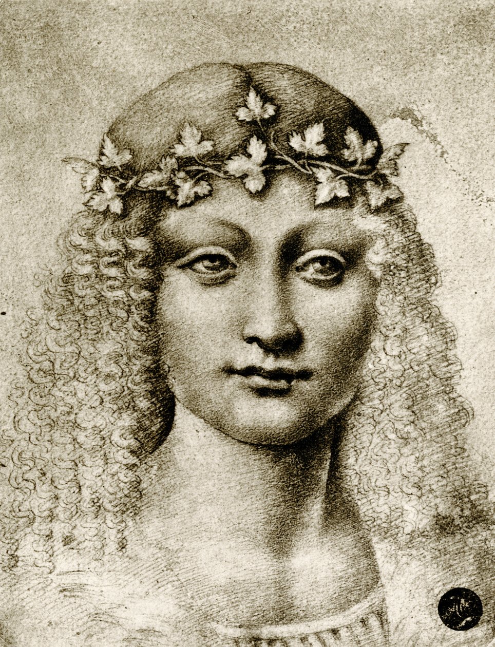 Head of a Girl Wreathed with Vine by Leonardo da school of Vinci
