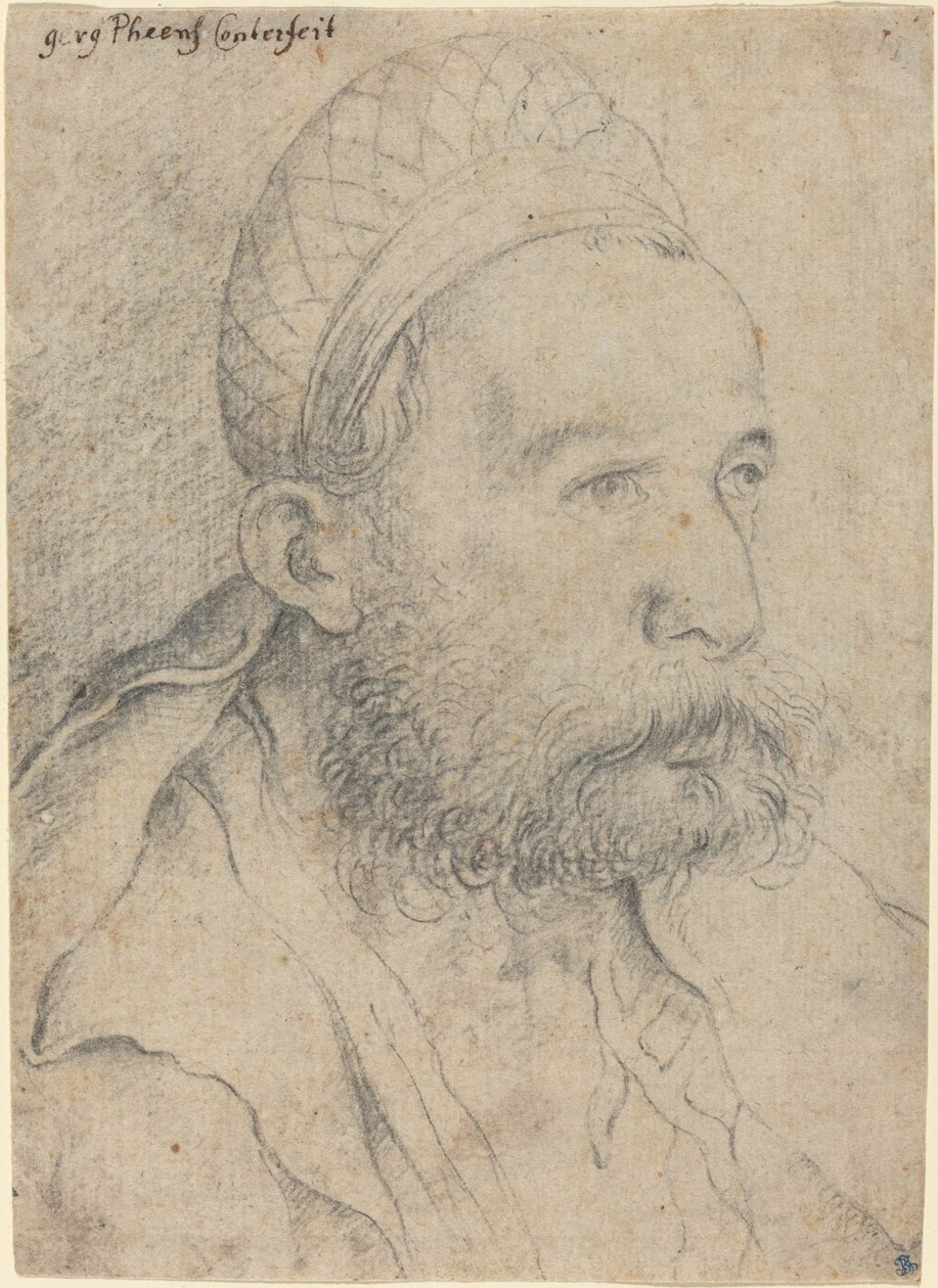 Portrait of a Man by Leonhard Beck