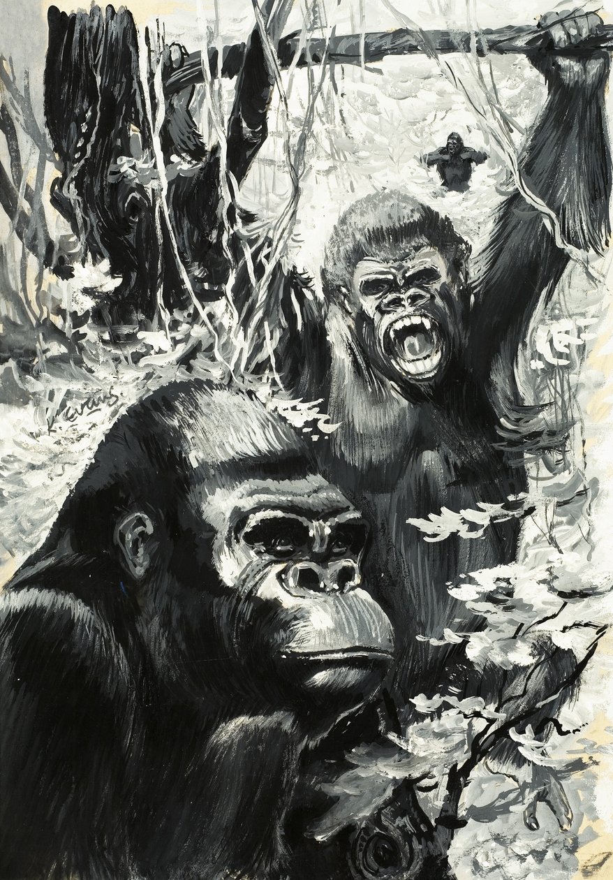 Gorillas by Leslie Field Evans