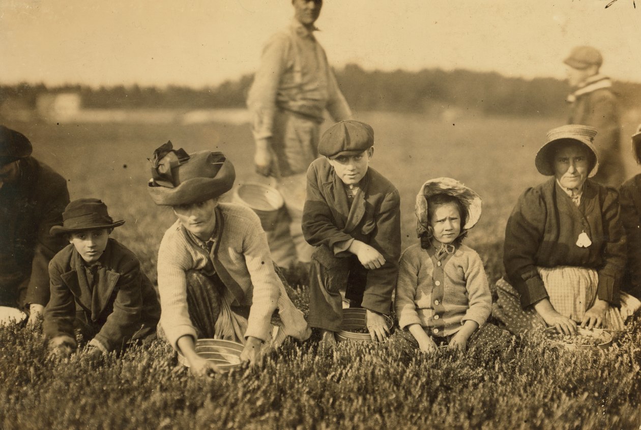 Annette Roy said to be 7 and Napoleon Ruel said to be 9 picking cranberries at Smart