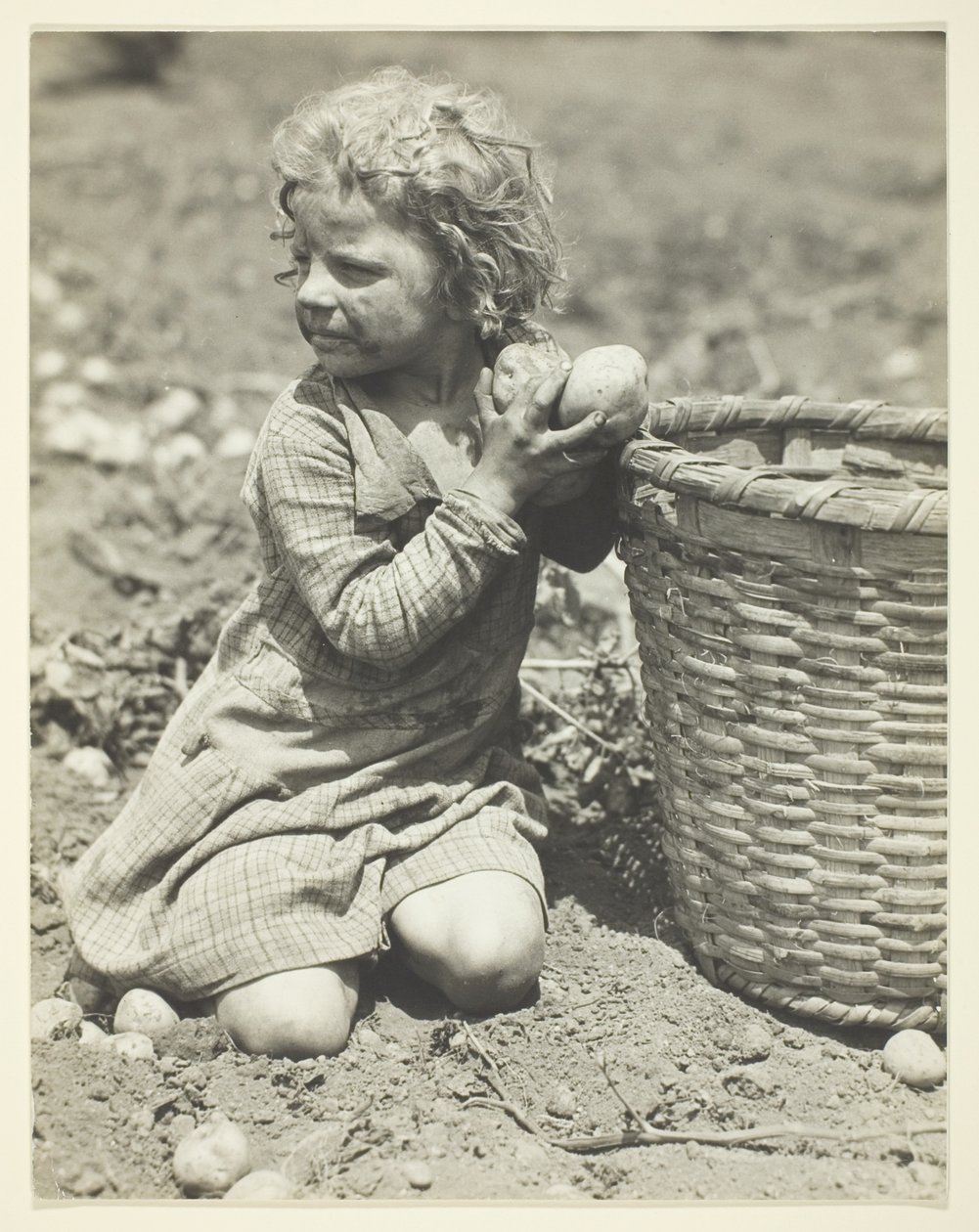 Child Labor on the Farm by Lewis Wickes Hine: Fine art print