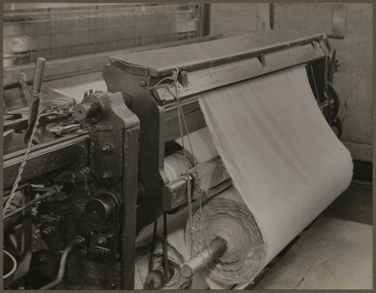 Quilling - A Close Up of the "Quills" by Lewis Wickes Hine