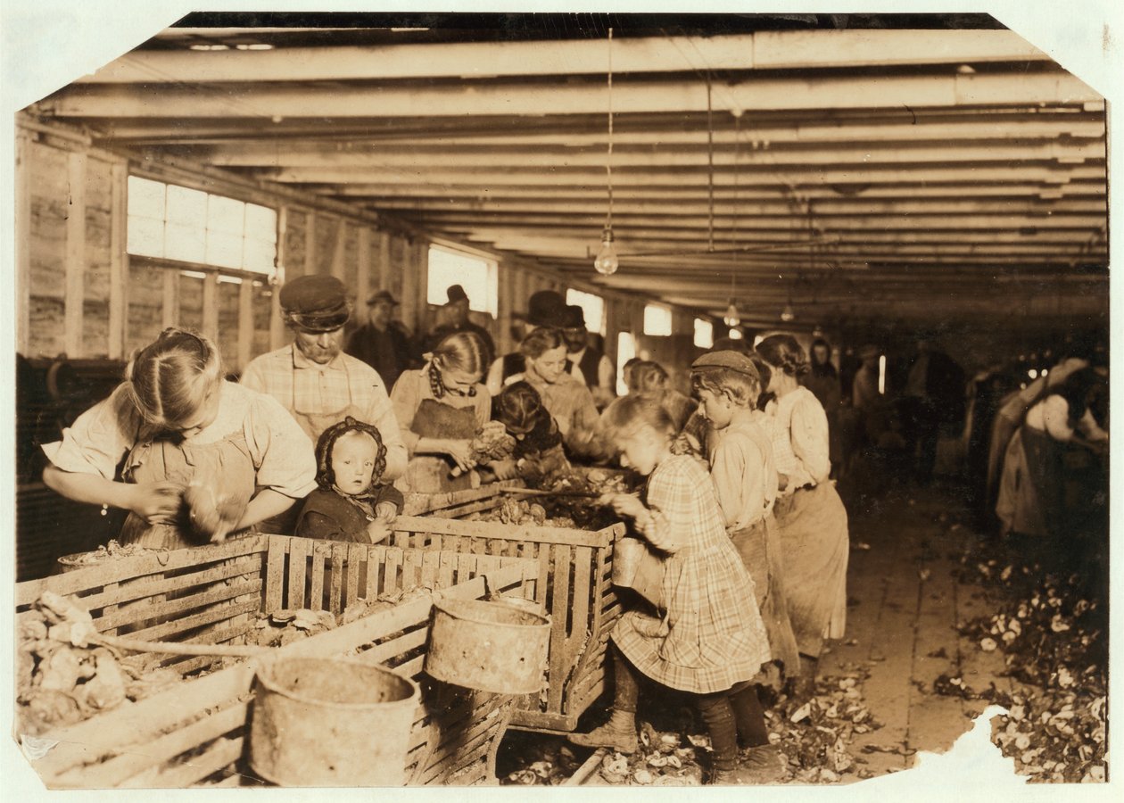 Rosy Aged 8 Works a 14 Hour Day as an Oyster Shucker at Dunbar Cannery, Louisiana, 1911 by Lewis Wickes Hine