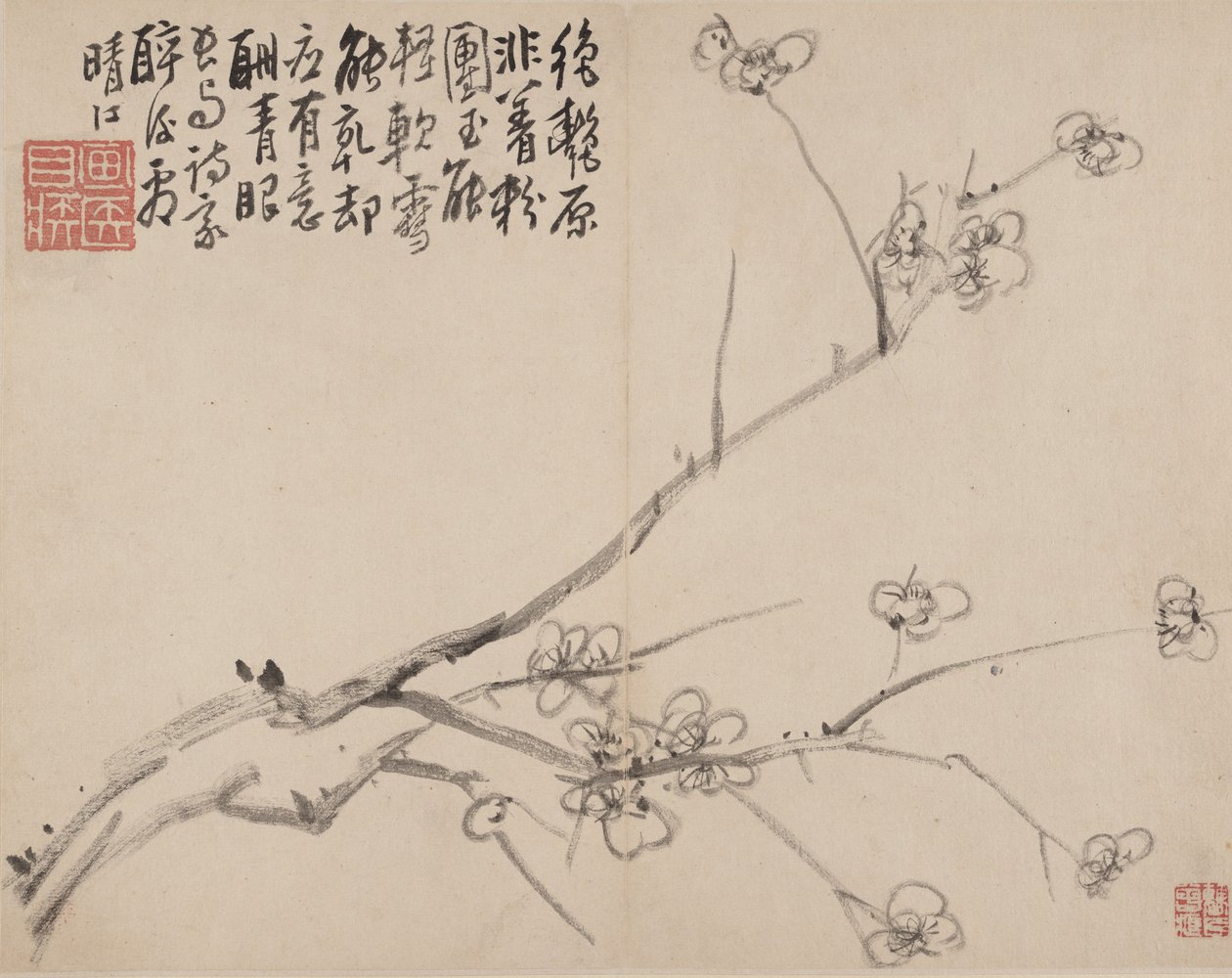 Album of Blossoming Plum by Li Fangying