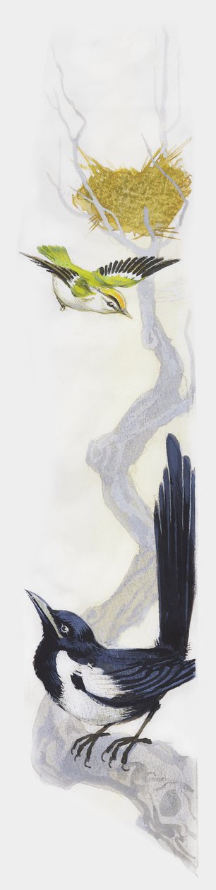 Bird Building Its Nest in Tree, While Magpie Watches from Lower Down Branch, Drawing by Unbekannt Unbekannt
