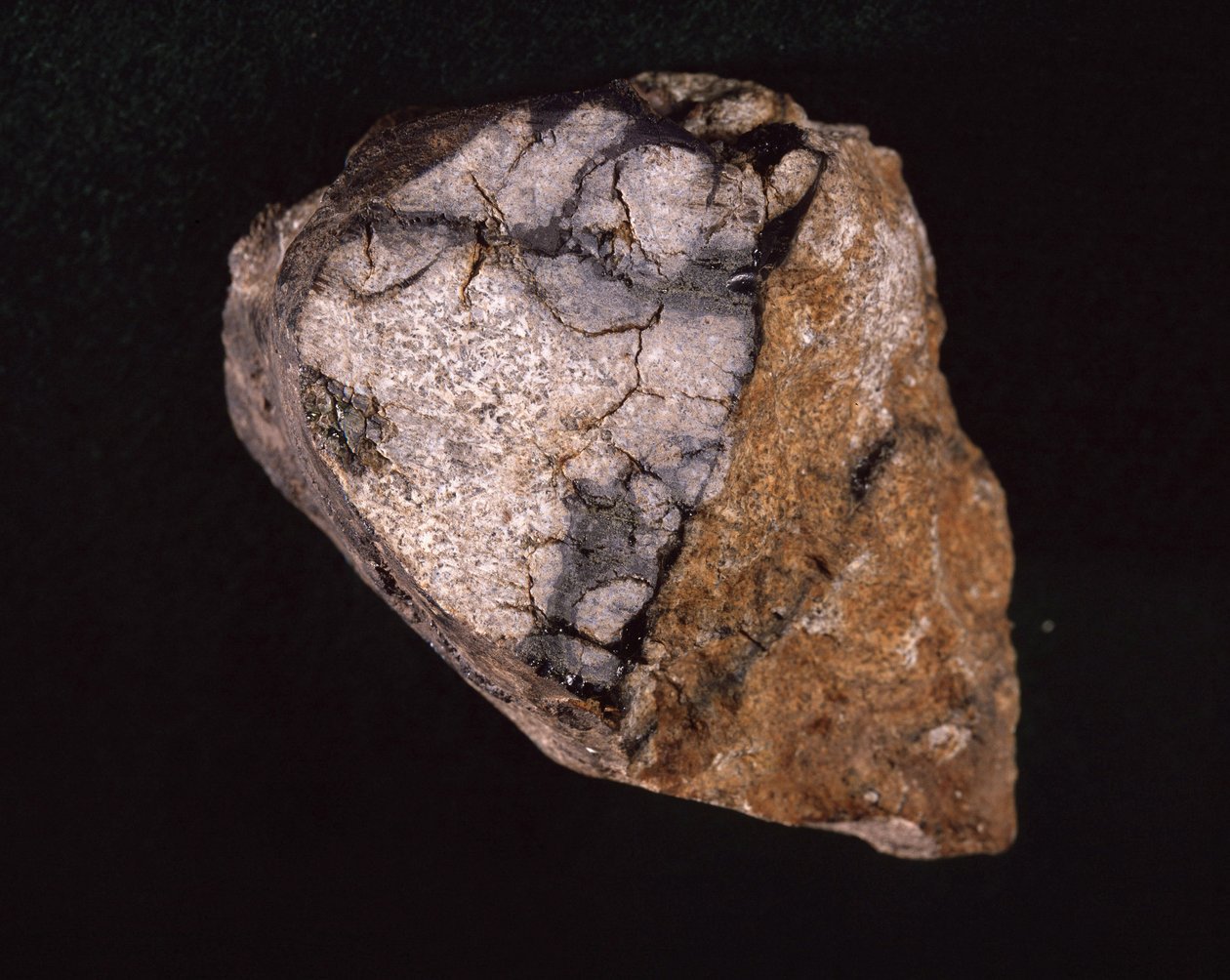 Meteorite found in India in 1875 - Museum of Natural History, Paris by Unbekannt Unbekannt