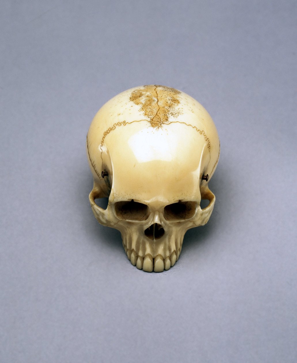 Model of a Skull, Probably a Netsuke, Japanese by Unbekannt Unbekannt