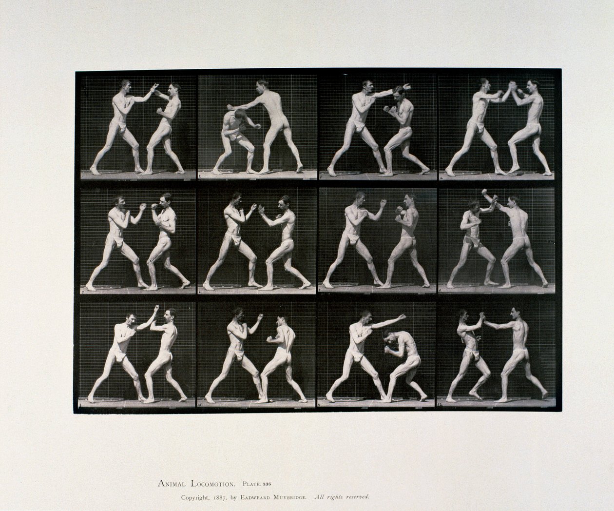 Nude Male Athletes Boxing by Unbekannt Unbekannt