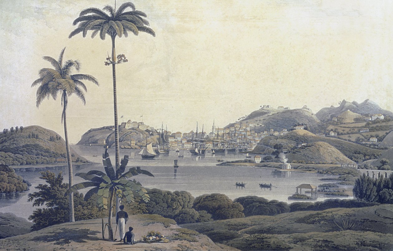 A View of the Town of St. George on the Island of Grenada, taken from the Belmont Estate, engraved by William Daniell, c.1810 by Lieutenant Colonel J. Wilson