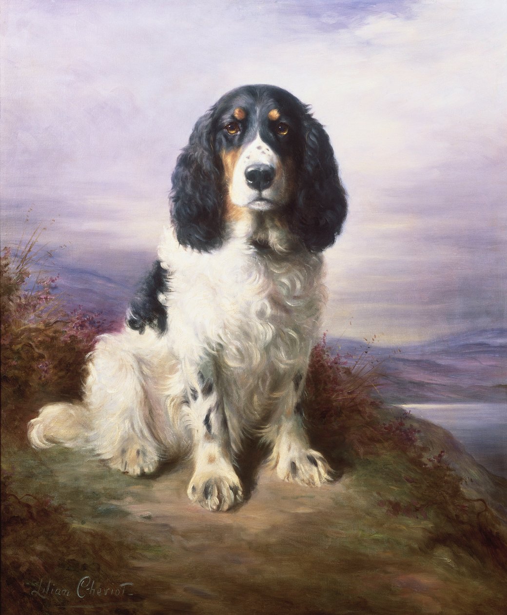 Royal, a Tri-Colour Working Springer Spaniel by Lilian Cheviot
