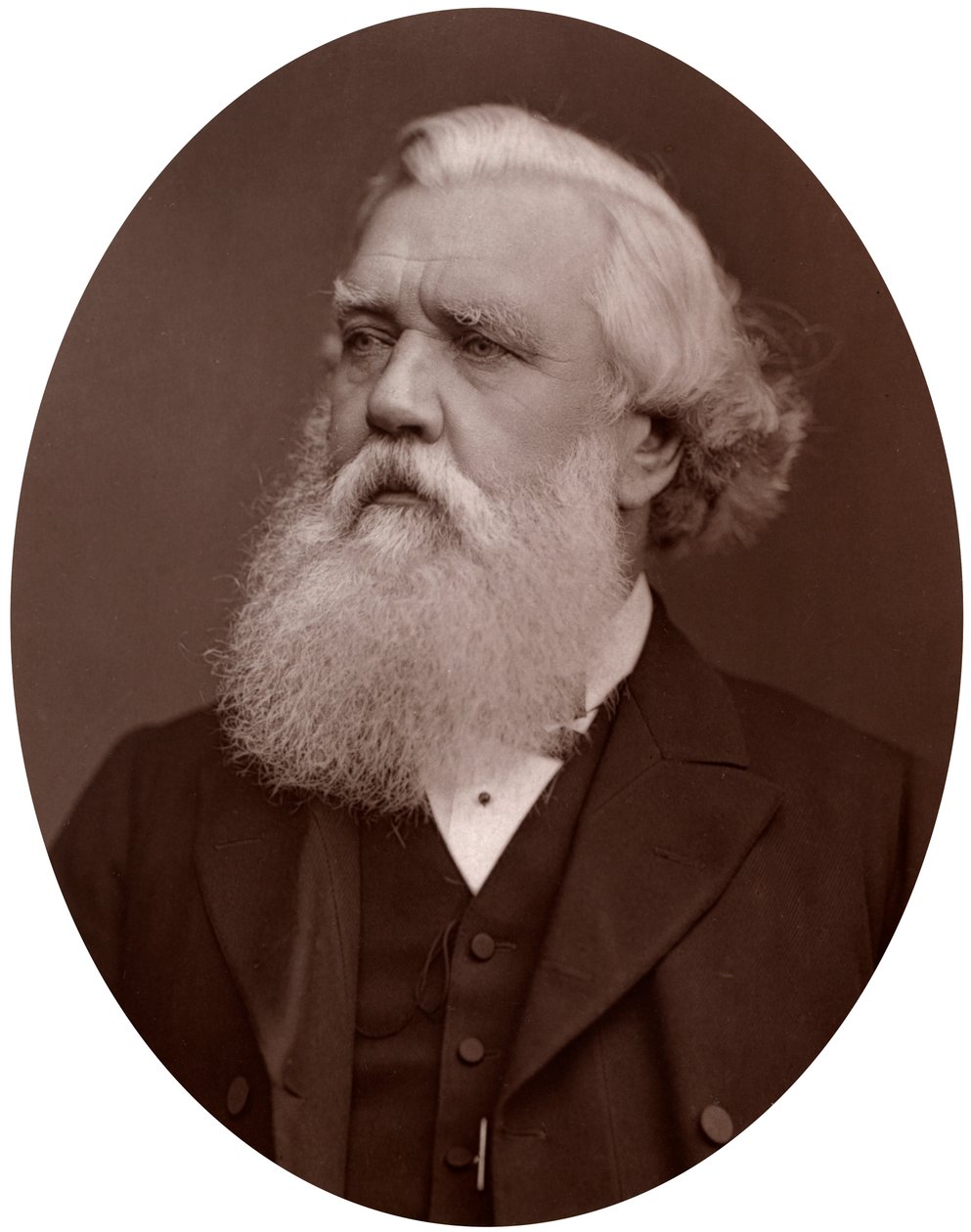 Right Hon Austen Henry Layard DCL, British Ambassador to Constantinople, 1877 by Lock and Whitfield