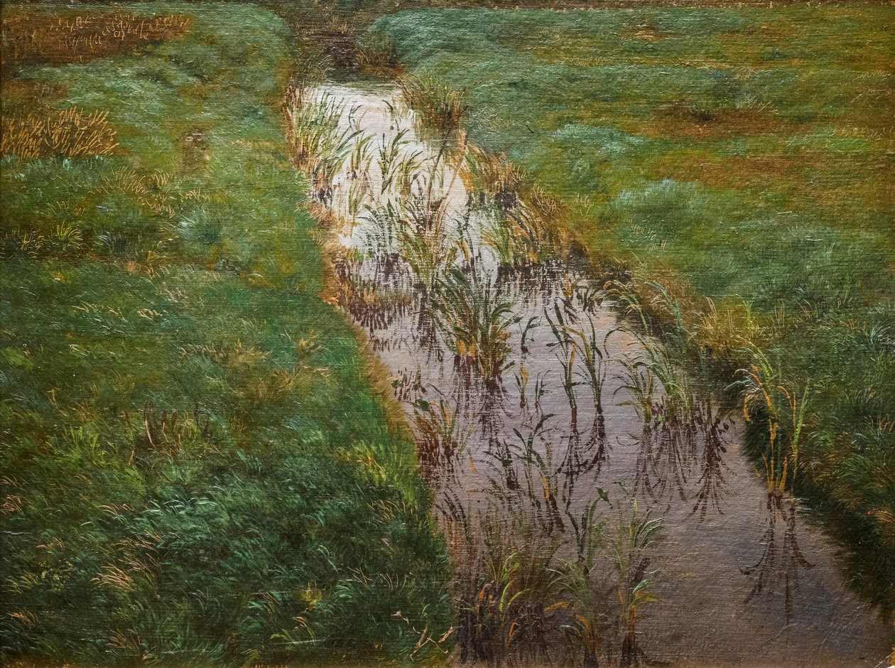 A Ditch (c.1850) by Lorens Frolich