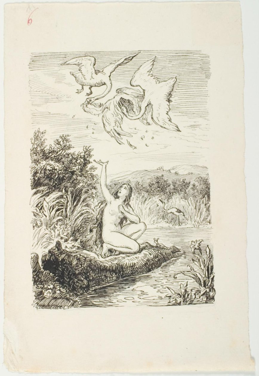 Draft for The Marsh King
