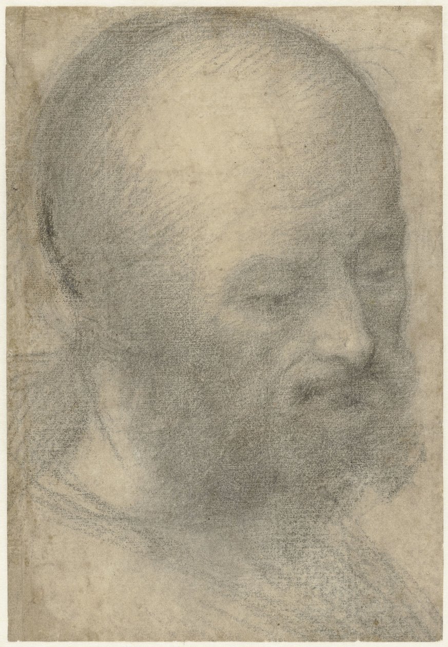 Head of an Old Man with Beard by Lorenzo Costa