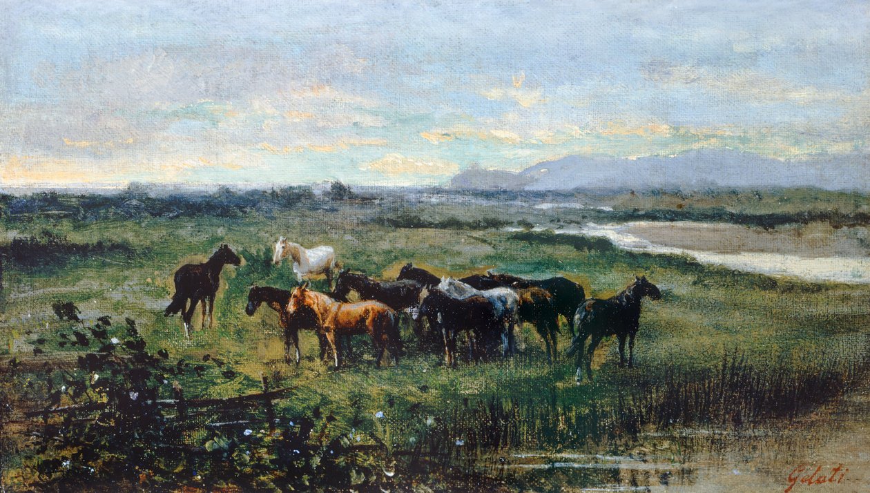 Wild Horses by Lorenzo Gelati