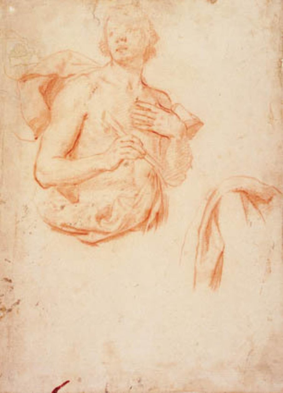 Young Man, Half Length with Bared Torso, and a Drapery Study by Lorenzo Lippi