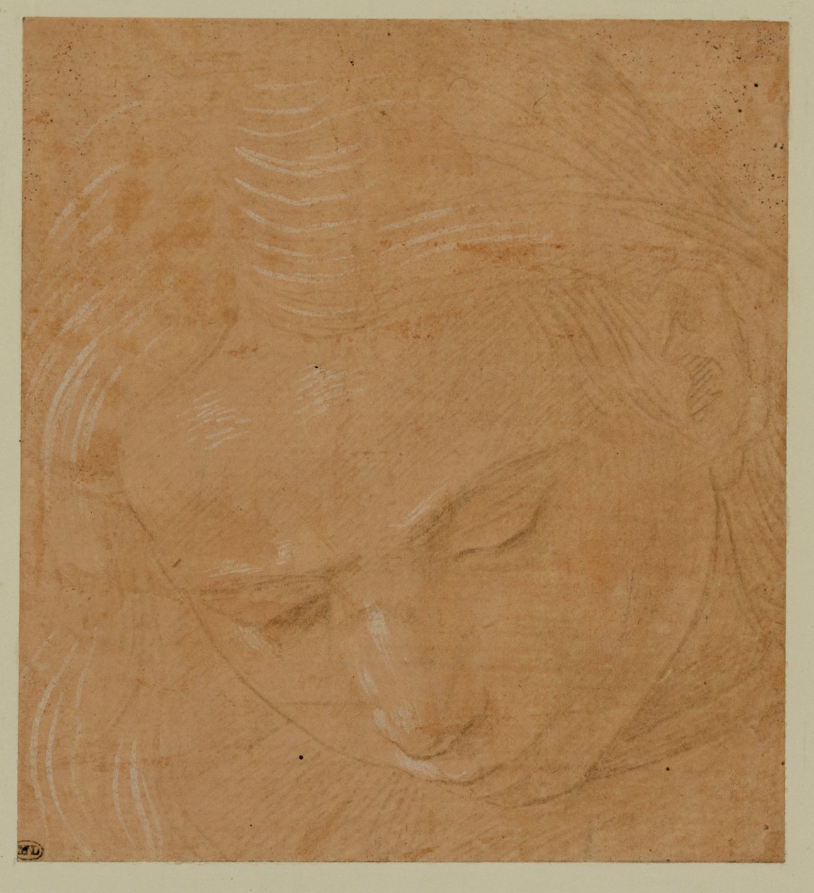 Portrait of a Young Man Looking Down by Lorenzo di Credi