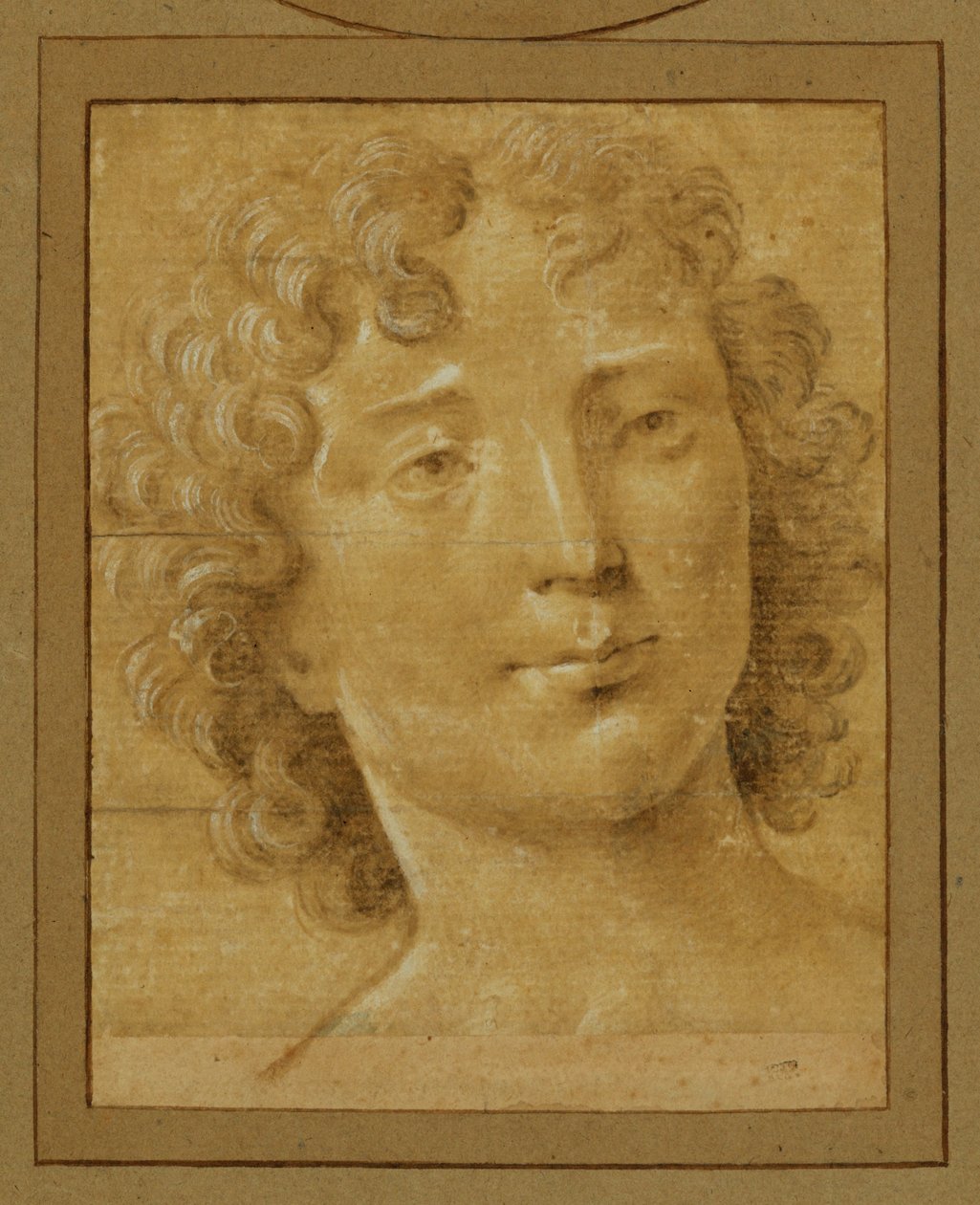 Study of a Man with Long, Curly Hair by Lorenzo di Credi