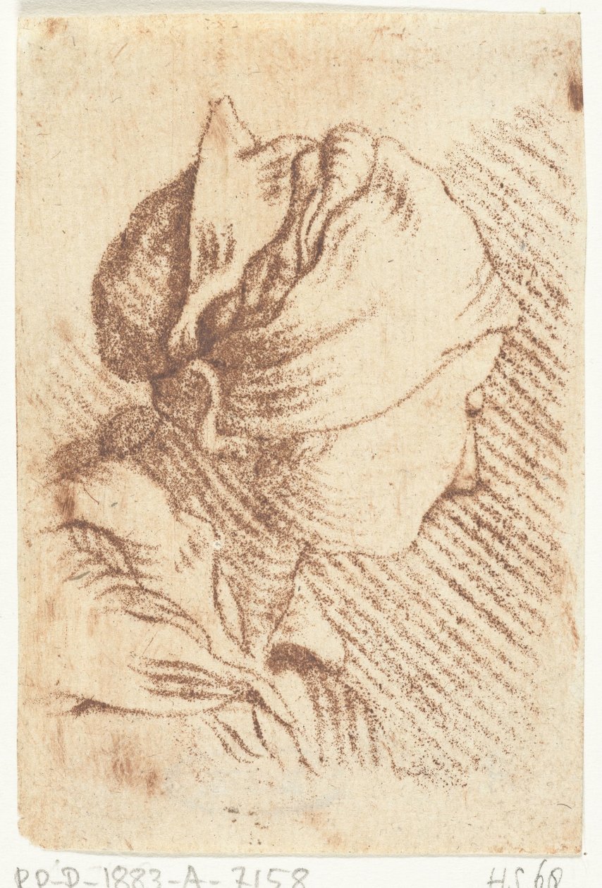 Study Sheet with a Woman