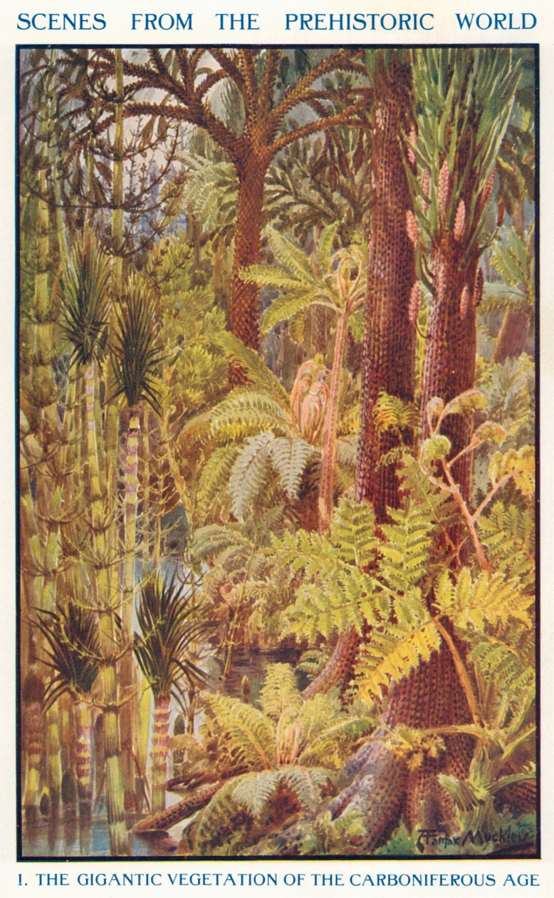 The Gigantic Vegetation of the Carboniferous Age by Louis Fairfax Muckley