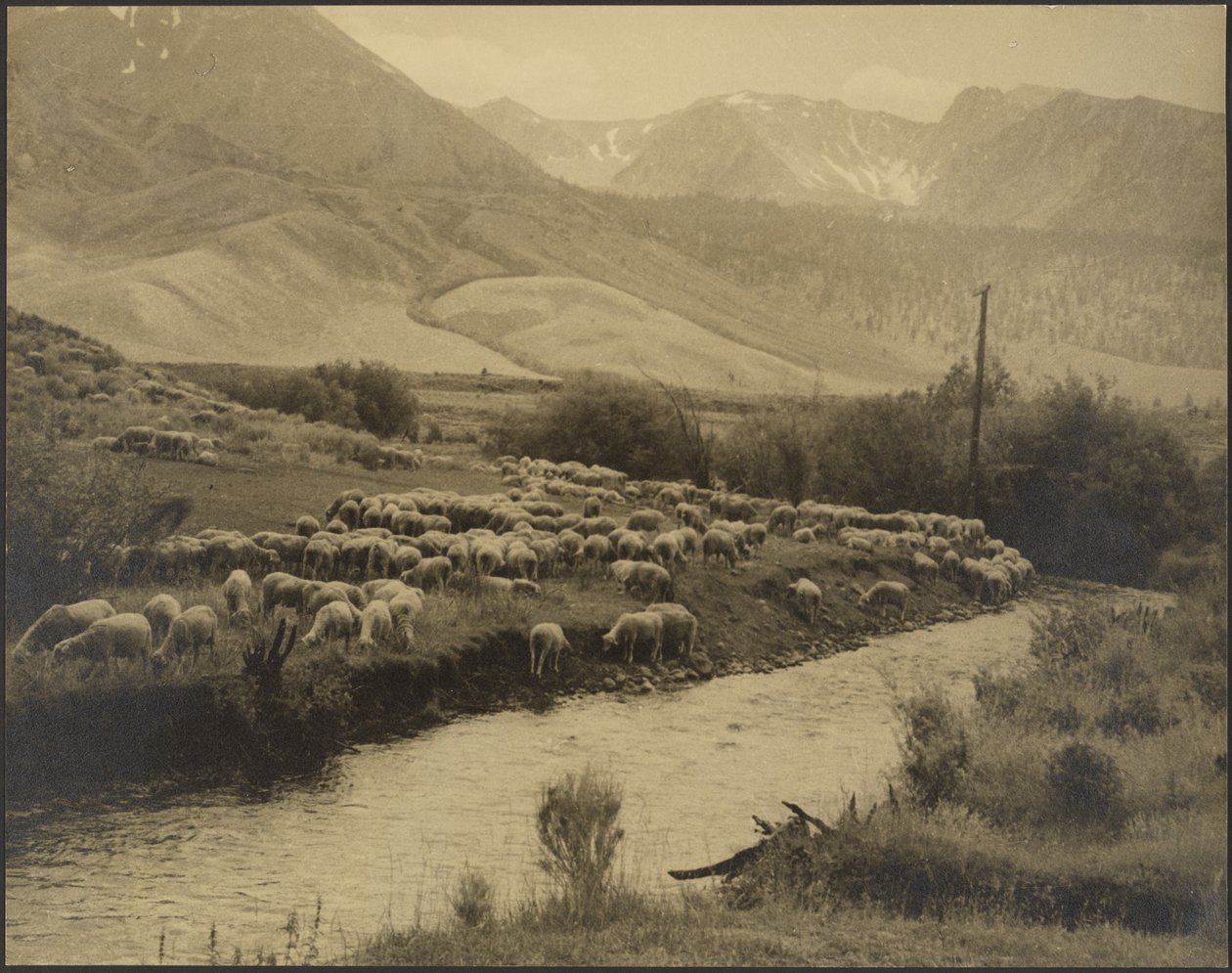 A Mountain Meadow by Louis Fleckenstein