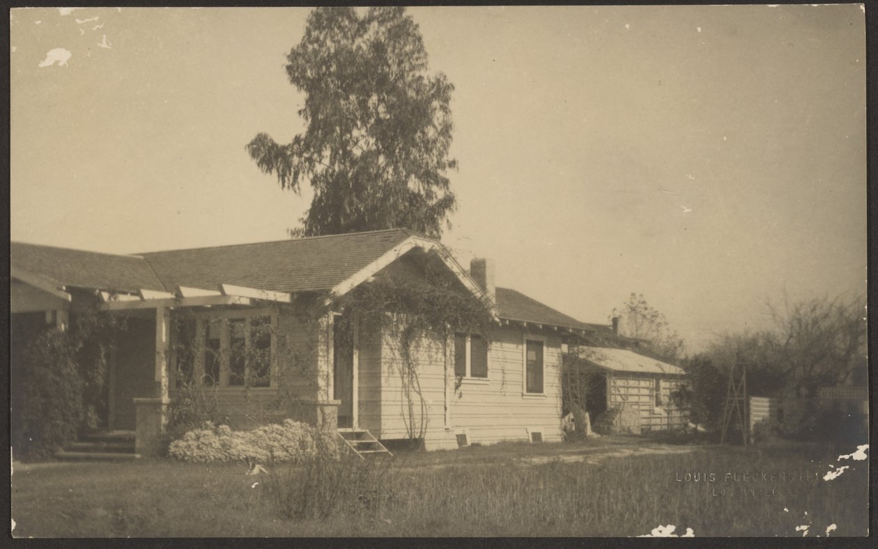 California House by Louis Fleckenstein