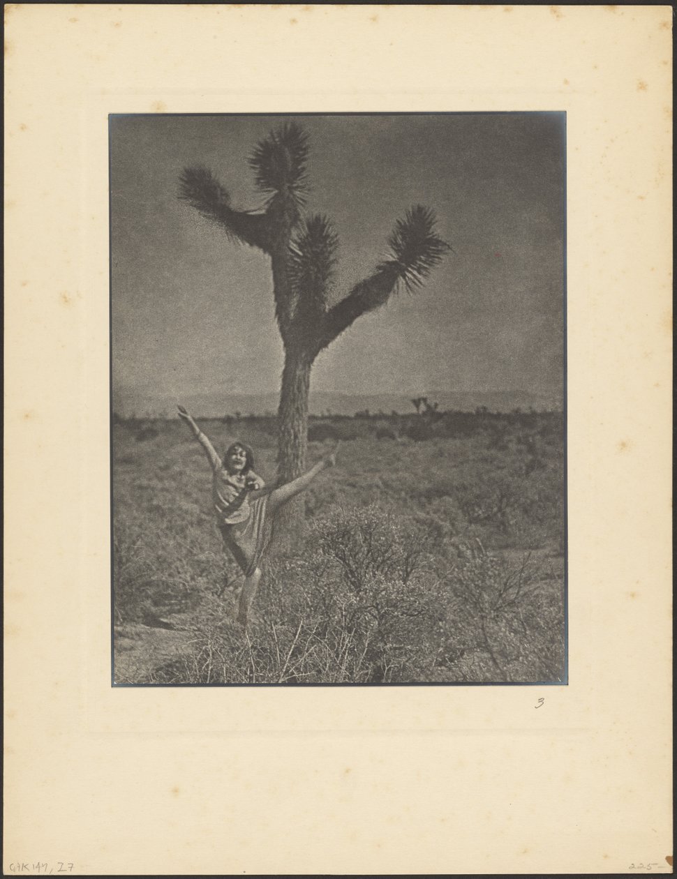 Dancer at Joshua Tree by Louis Fleckenstein