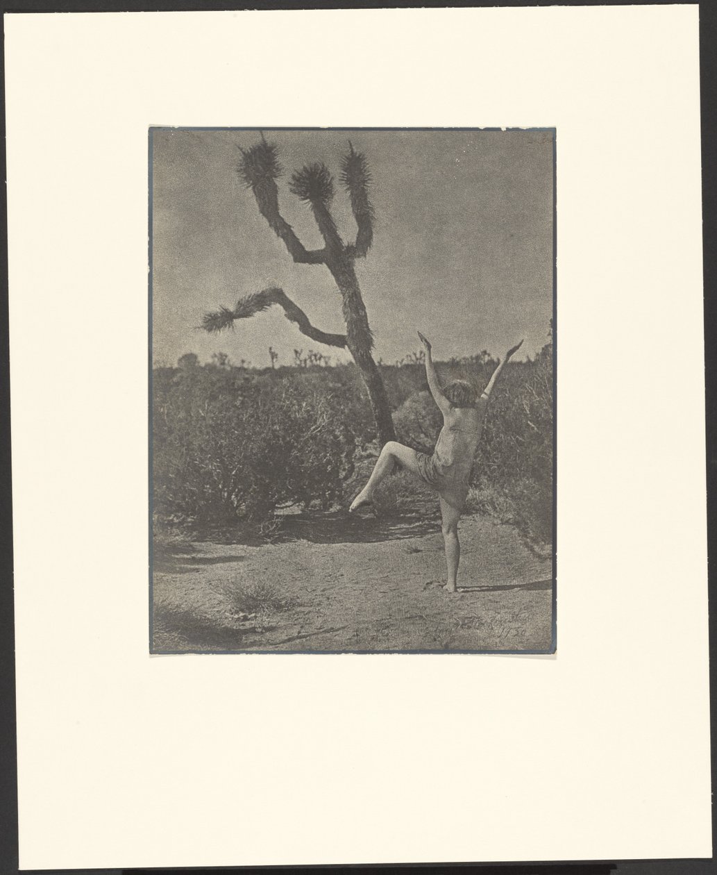 Dancing Master by Louis Fleckenstein