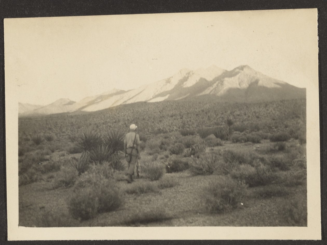 Figure in Landscape by Louis Fleckenstein