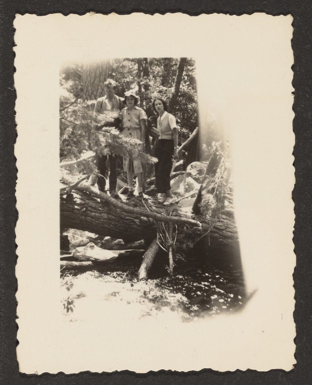 Figures in Woods by Louis Fleckenstein