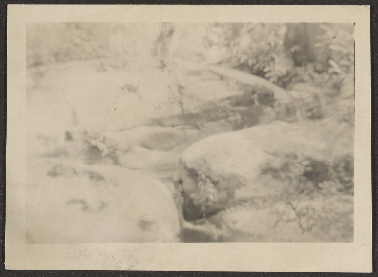 Landscape by Louis Fleckenstein