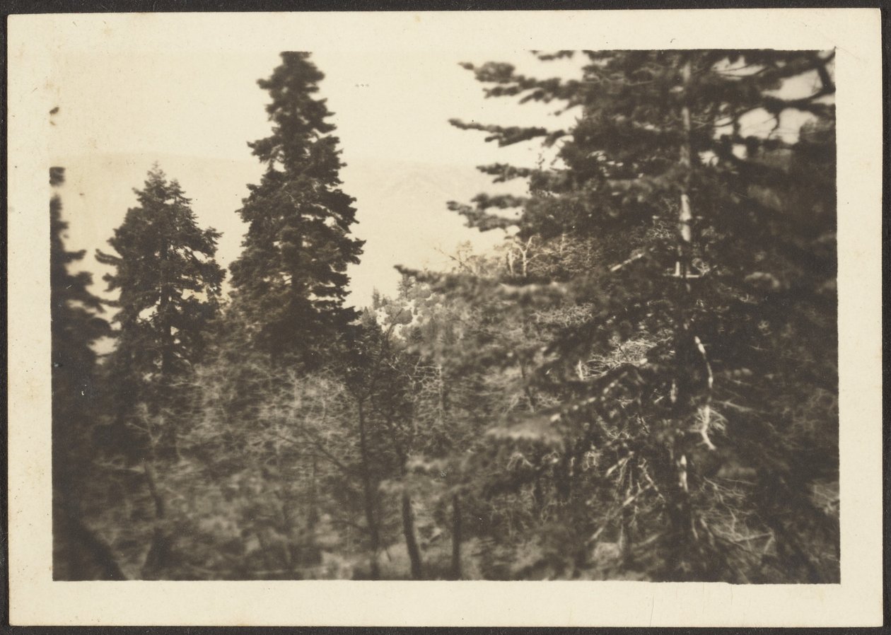 Landscape by Louis Fleckenstein