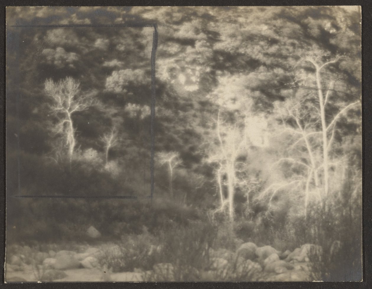[Landscape with Bright Trees] by Louis Fleckenstein