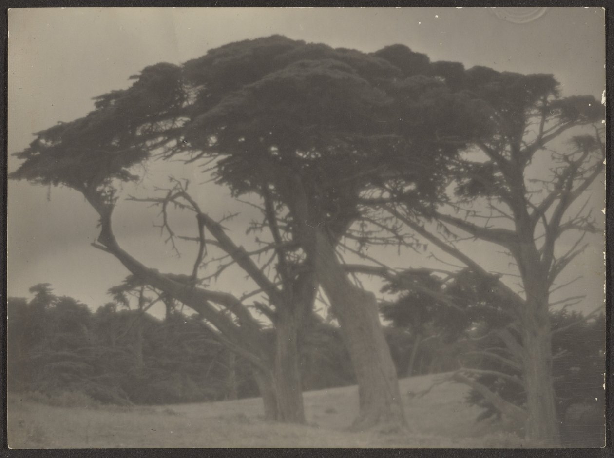Landscape with Cypress Trees by Louis Fleckenstein
