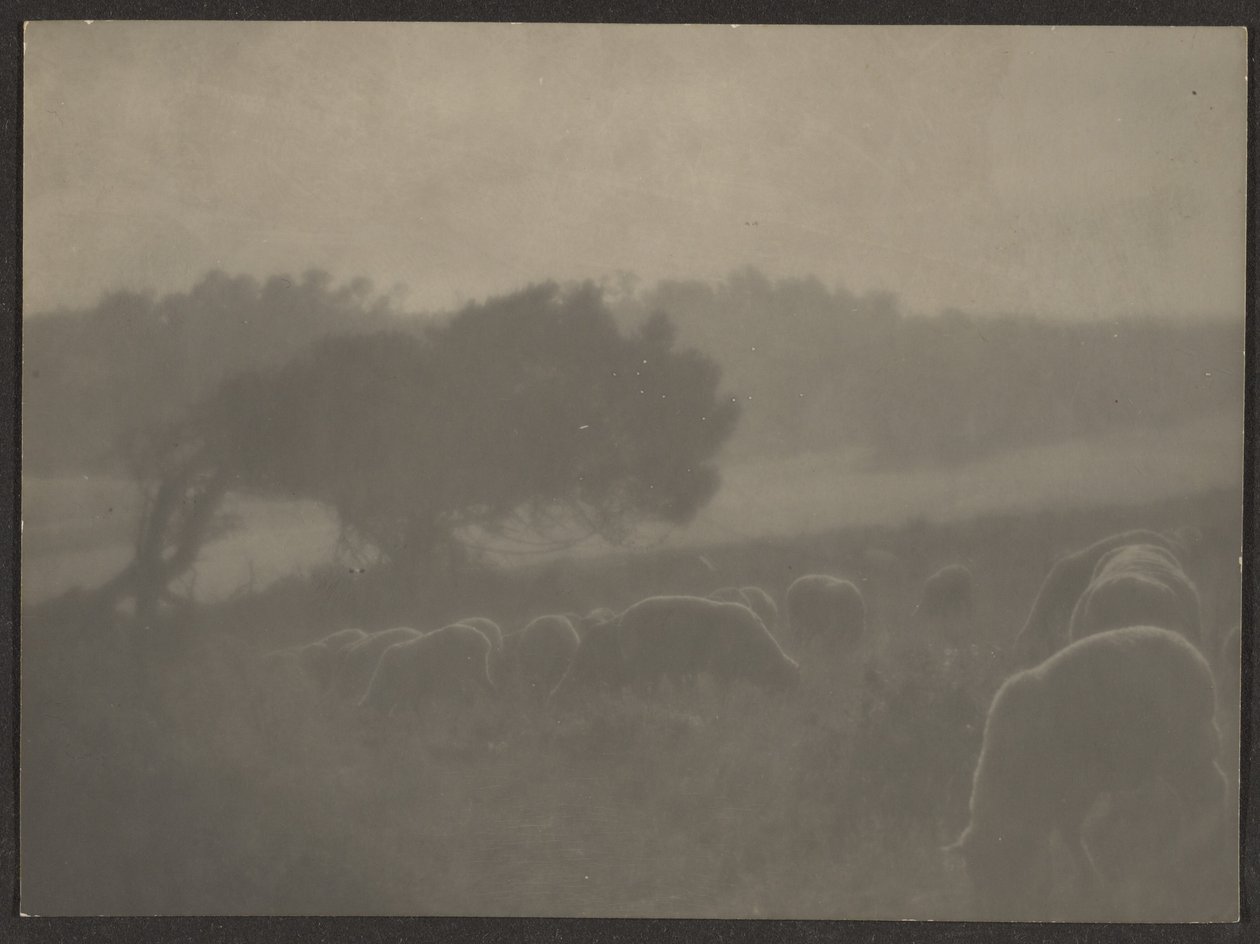 Landscape with Sheep by Louis Fleckenstein