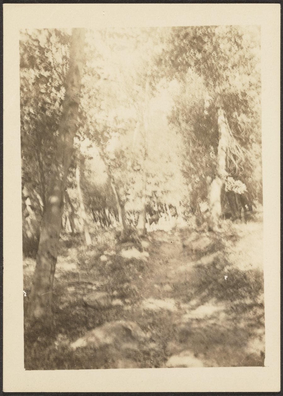 Landscape with Wild Deer by Louis Fleckenstein