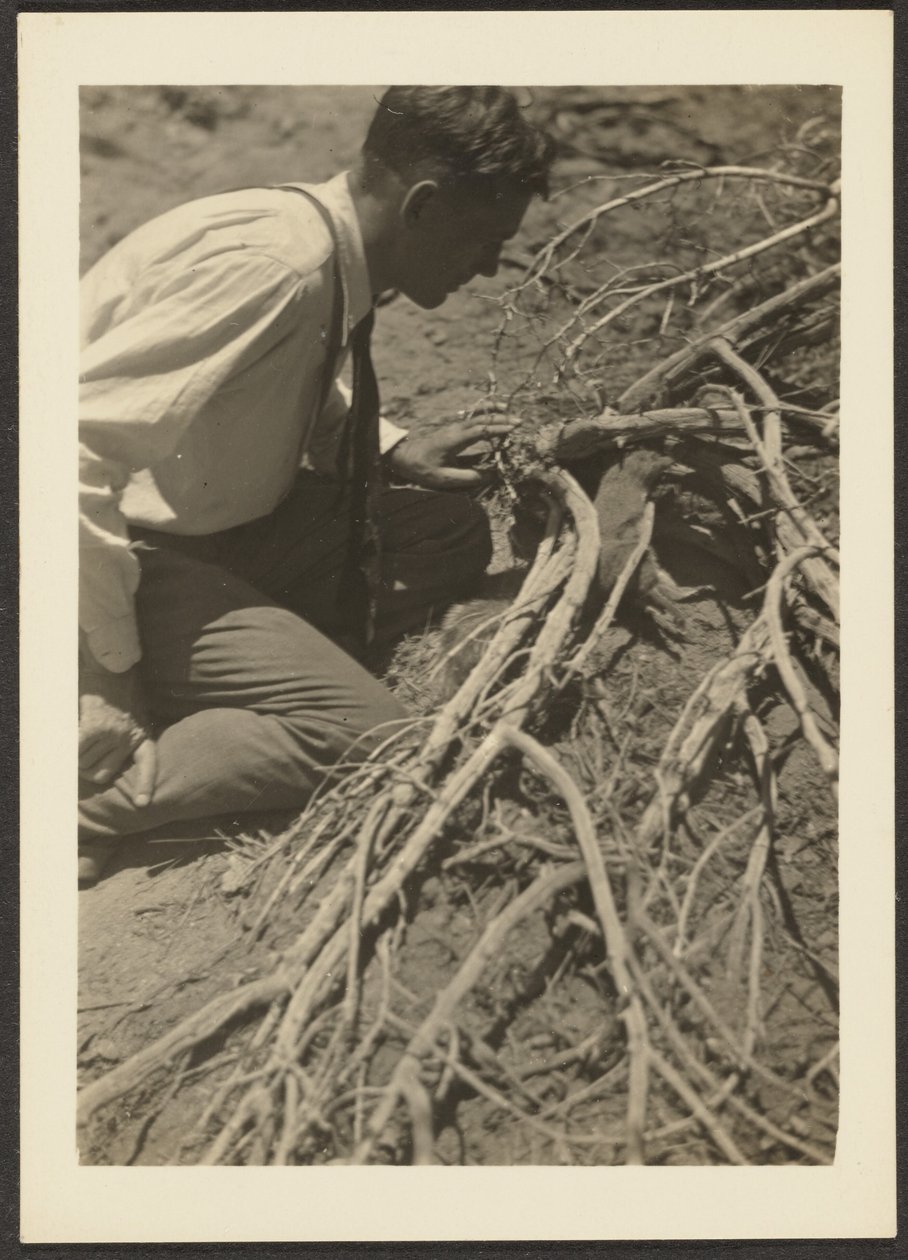 Man with Roots by Louis Fleckenstein